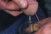 Pissing at the Bar in ‘Barcelona Nights’ Today