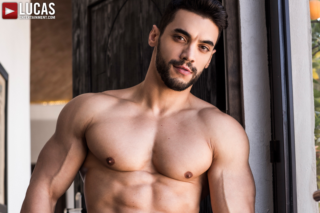 Arad Winwin, The Persian Alpha Top, Strikes Again