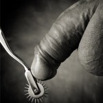 Profile picture of sashman